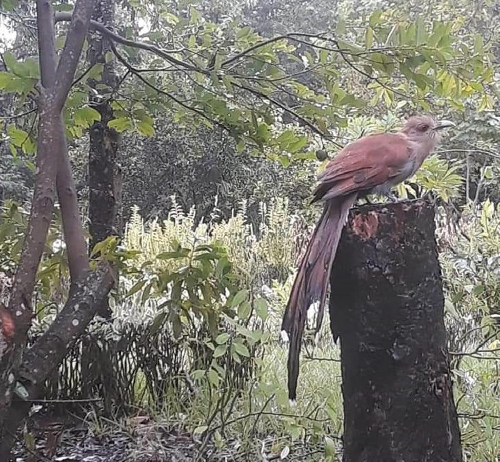 Pousada Di Luna Hotel Bonito  Luaran gambar